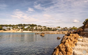 Sublime Shorelines image 7