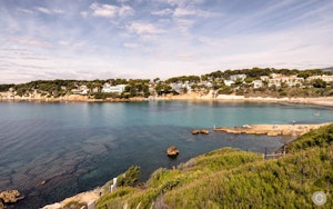 Sublime Shorelines image 2