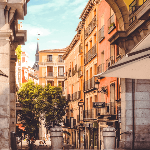 Head towards Plaza Mayor for a day of sightseeing 