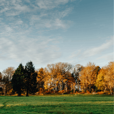 Explore the gorgeous Brecon Beacons National Park – it's just twenty minutes away by car