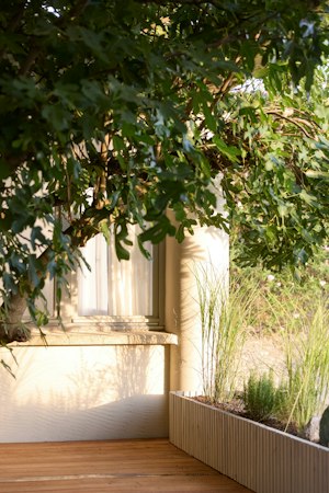 The Artist on the Terrace image 14