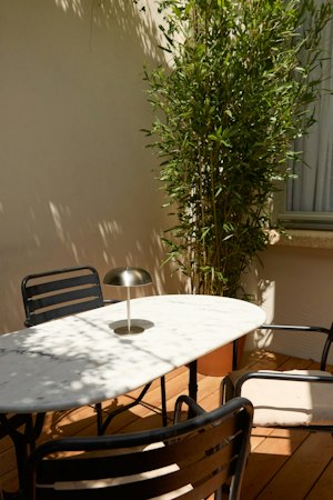 The Artist on the Terrace image 13