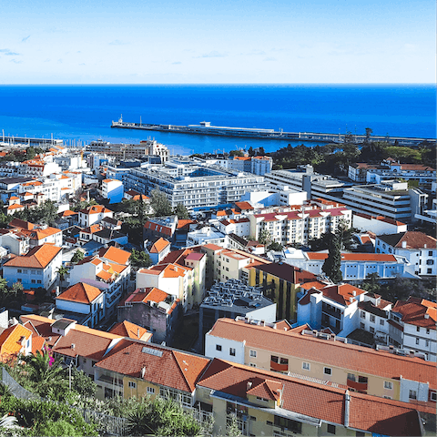 Stay in an upscale area of Funchal, steps away from the beach, some of the city's best restaurants, and the romantic promenade