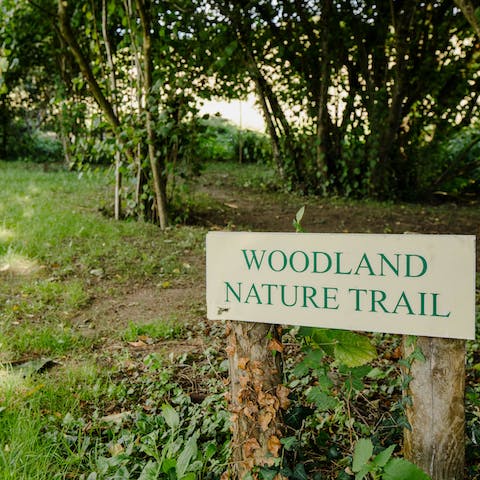 Take an idyllic walk along the woodland nature trail and spot wildlife