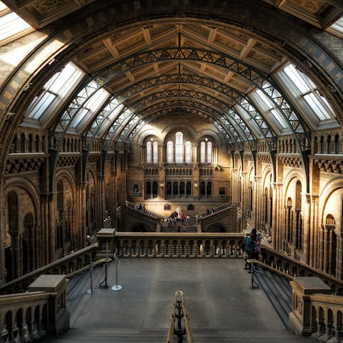Spend the day at the Natural History Museum, less than a mile away