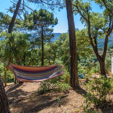 Savour the idyllic views whilst swaying in the hammock
