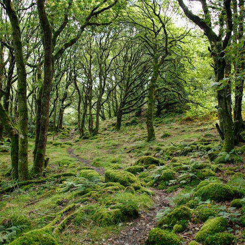 Make the most of your rural location and take long afternoon walks 