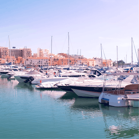 Stroll through lively marinas on the coast, seeing which of the seafood restaurants appeals to you for dinner