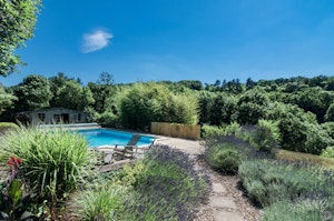 The Rosemary image 3