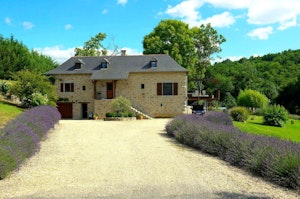 The Rosemary image 2
