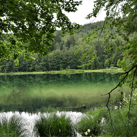 Make the forty-minute hike to the mesmerising lake of Falkensee