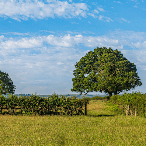 Go for a ramble in the rolling hills of Kent