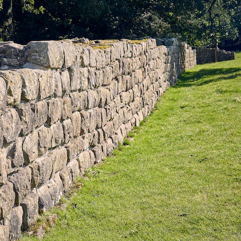 Visit Hadrian's Wall – the Planetrees section is a twenty-five-minute hike away