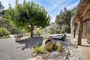 Stone & Thyme image 2