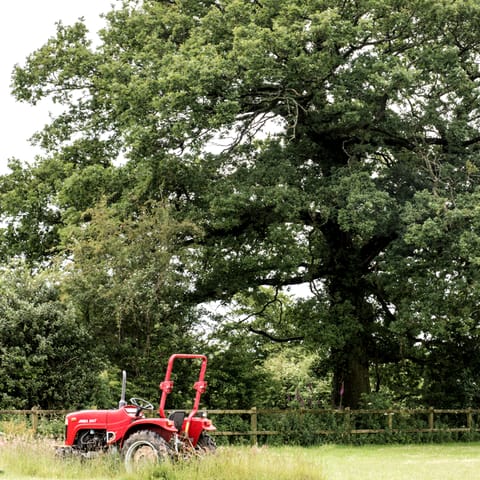 Wander through the beautiful countryside of Devon's Teign Valley