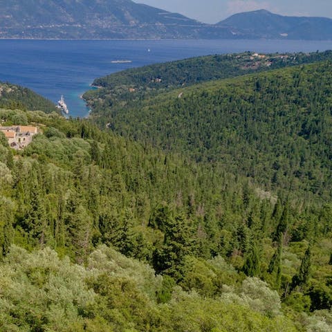 Stay in the pircturesque town of Fiskardo, Kefalonia