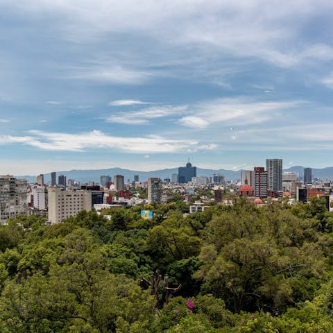 Take in the sights and sounds of the neighbourhood of Polanco