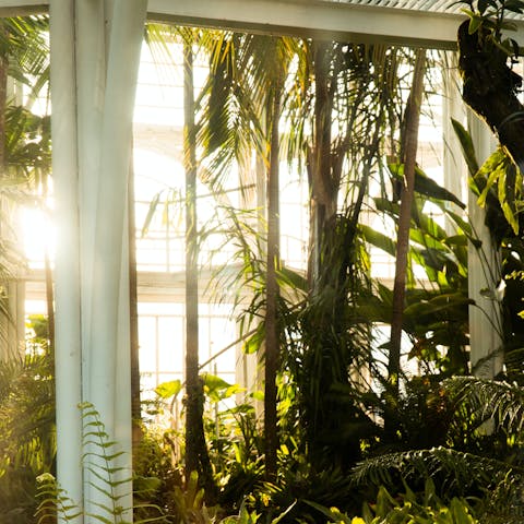 Spend the day in the Botanical Garden of Lisbon, reachable on foot within fifteen minutes
