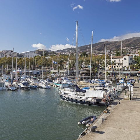 Head down to Funchal's harbour, a short walk away, and take a boat out to spot whales and dolphins