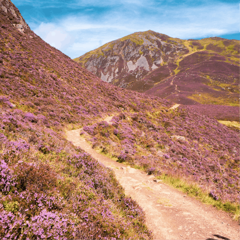 Put on your hiking boots and explore Cairngorms National Park