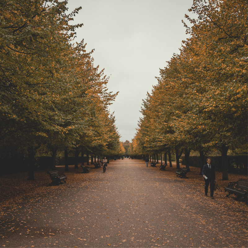 Find a sprawling Regent's Park at the other end of a six minute walk
