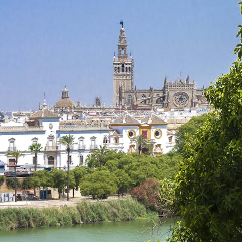 Visit the Seville Cathedral,  a ten to fifteen minute walk away 