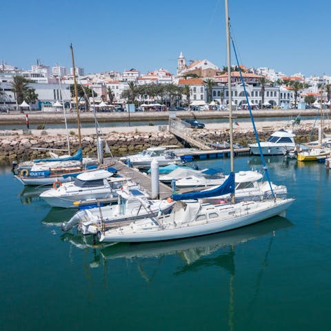 Take a boat trip from Lagos marina to go dolphin watching