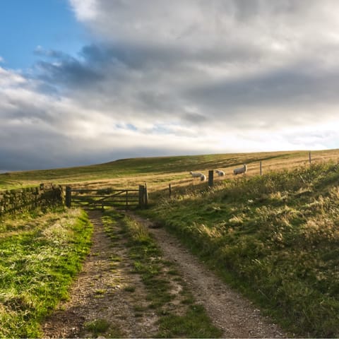 Immerse yourself in the Yorkshire Dales and experience the beauty of this private farmland –just twenty–minutes from Leyburn
