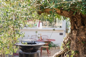 Toucan & Vine image 11