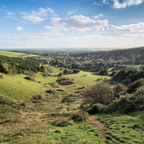 Put on your hiking boots and explore the beautiful Sussex countryside 