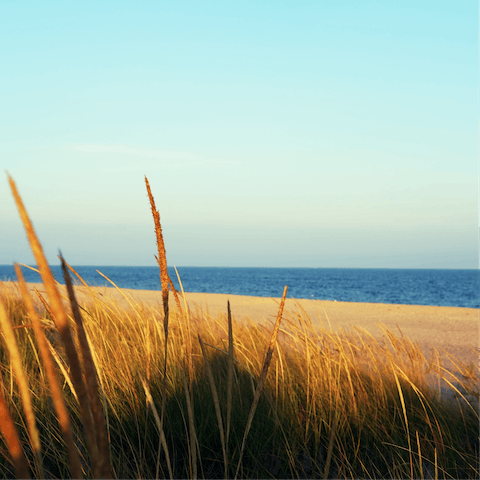 Explore the gorgeous beaches dotted along the coast of The Hamptons