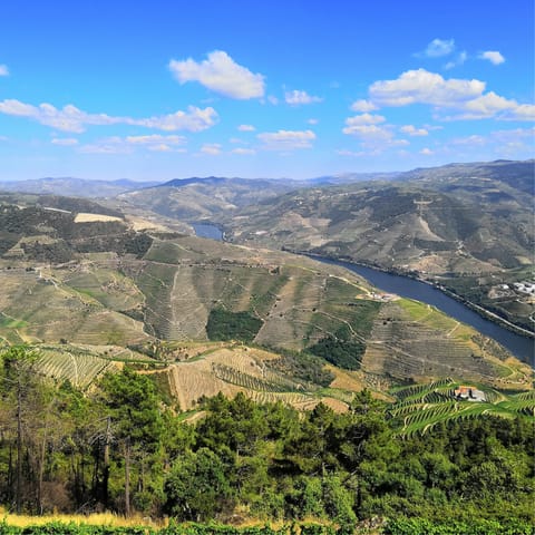 Explore the bucolic landscape of the nearby Douro valley on foot or by bike