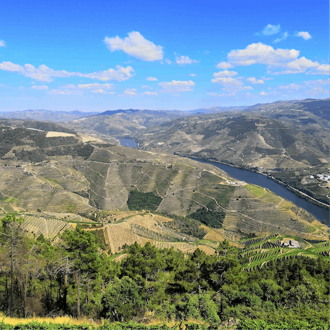 Explore the bucolic landscape of the nearby Douro valley on foot or by bike