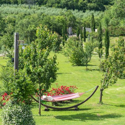 Wander the sprawling grounds to find hammocks between the cypress trees