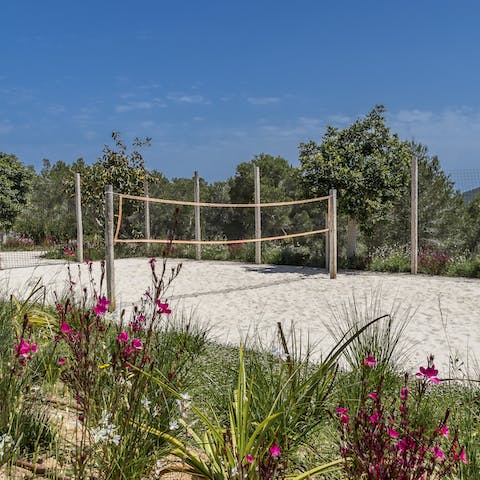 Have some friendly fun with a game of volleyball 