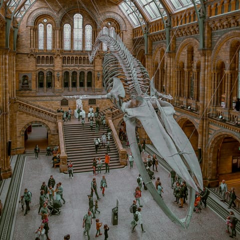 Head to the Natural History Museum, a mere ten-minutes away