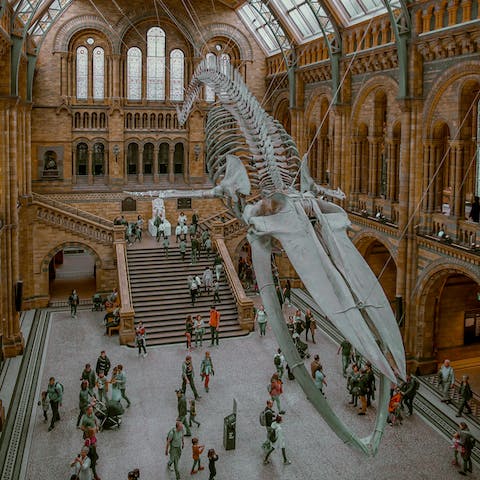 Head to the Natural History Museum, a mere ten-minutes away