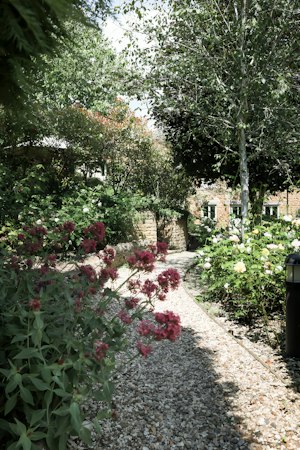 Country Bliss image 12