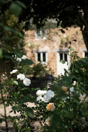 Country Bliss image 11