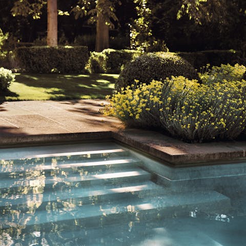 Swim in a pool surrounded by fragrant greenery