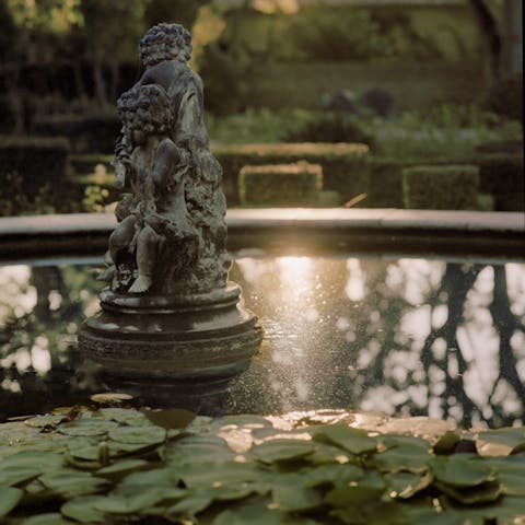 The beautifully landscaped gardens