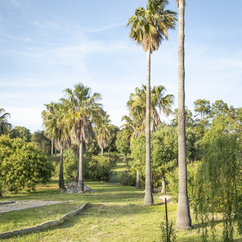 Take walks in your large gardens and pick fruit from the trees