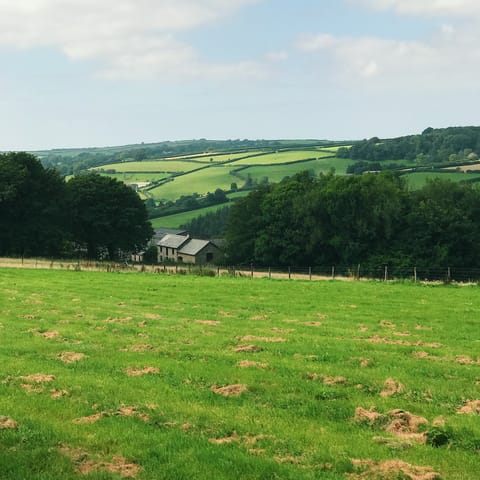 Explore one of Devon's most picturesque villas, home to unspoiled nature and riverside settlements