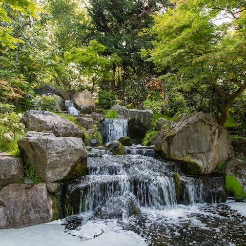 Find peace and calm while walking in neighbouring Holland Park