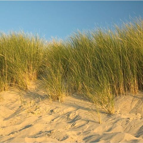 Explore the empty, sandy beaches of Noord-Beveland from your base in Colijnsplaat