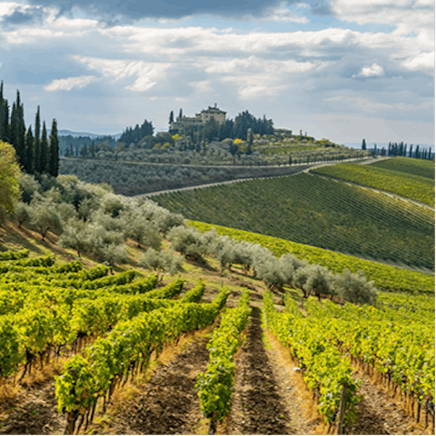 Take a day trip to Radda for a spot of wine tasting