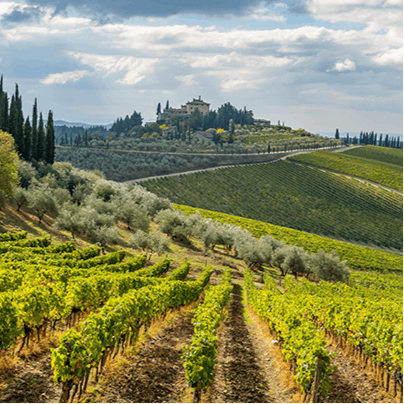 Take a day trip to Radda for a spot of wine tasting