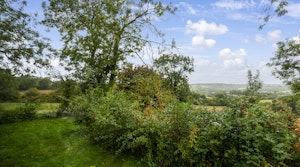 Over The Pastures image 7