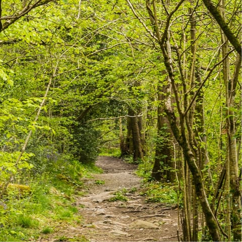 Follow in the footsteps of Robin Hood through the Nottinghamshire countryside – an eighteen–minute drive away