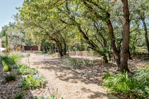 Provincial Charm image 3